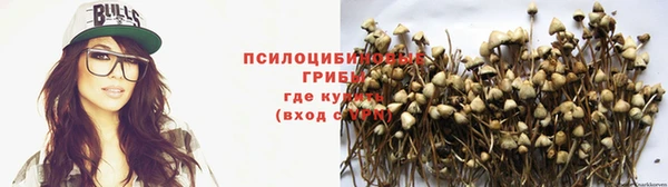 МДМА Няндома