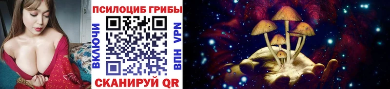 Купить где  Павловск  Псилоцибиновые грибы Psilocybe 